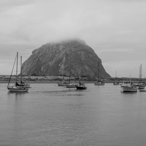 Morro Bay, California. Black and White. Sail boats anchored with the large Morro rock in the background.